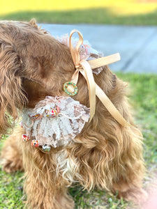 Sweet doggie
