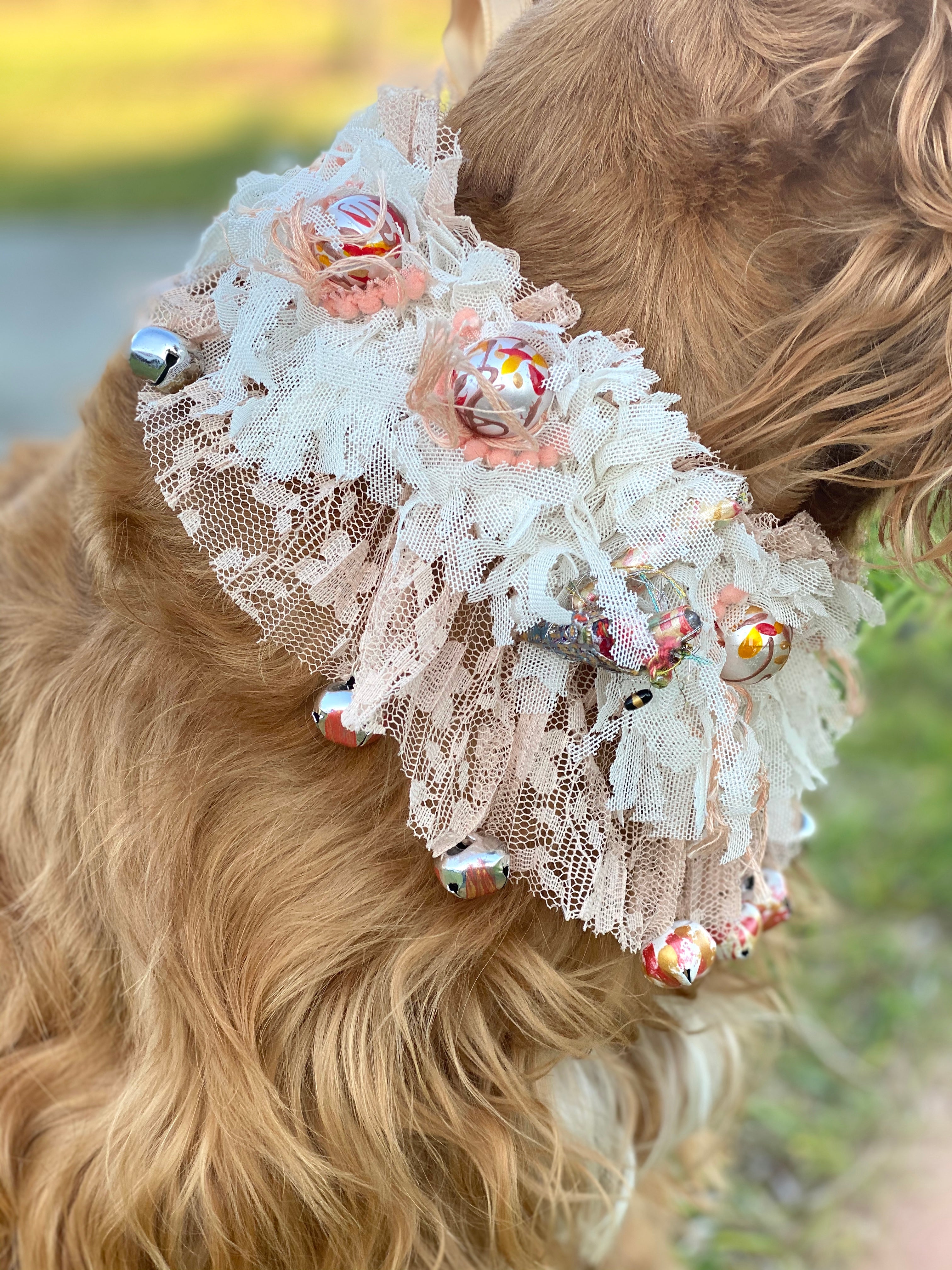 Sweet doggie